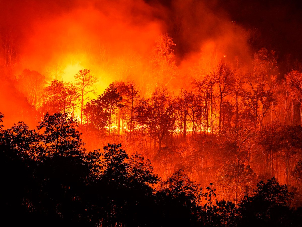 Incendios forestales aumentan 60% en mayo